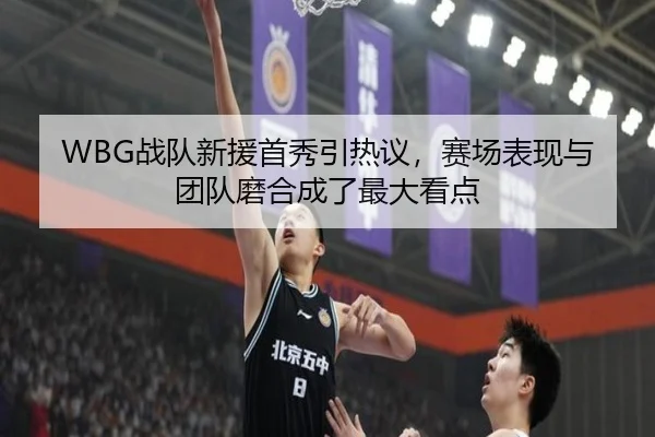 WBG战队新援首秀引热议，赛场表现与团队磨合成了最大看点